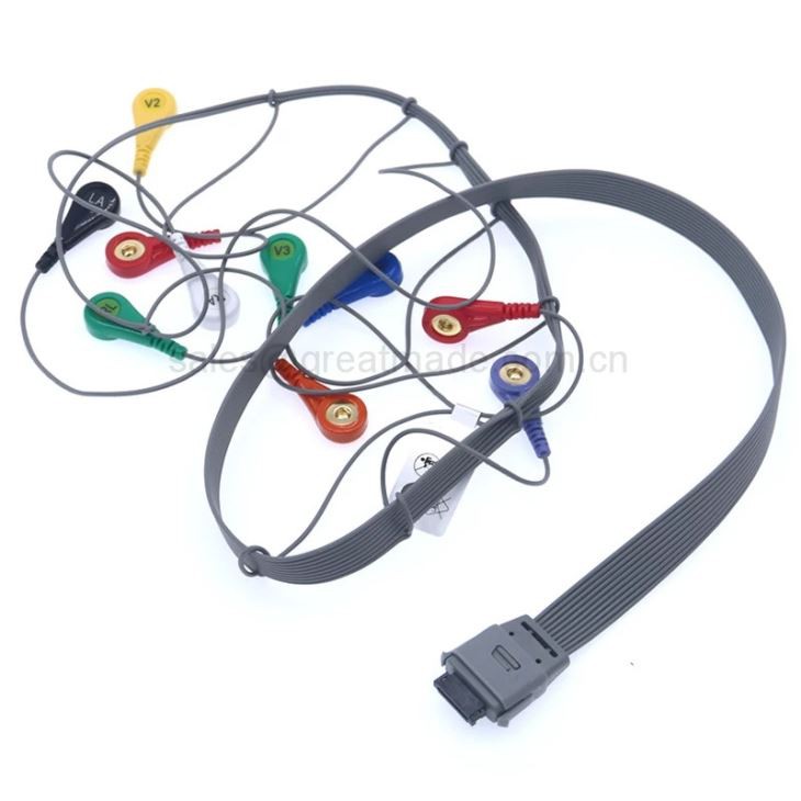 Nouveau câble Holter biomédical compatible BI9800 / BI9000 Holter ECG Cable 10leads Snap AHA 26pin / 0.9m