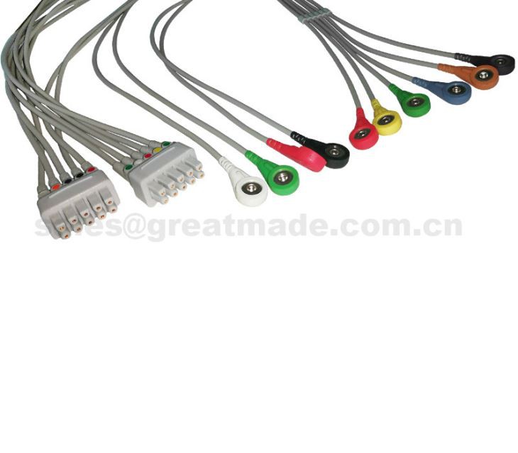 Compatible avec GE MAC500, MAC1200 Multi-LiNK 10-Leadwire Set